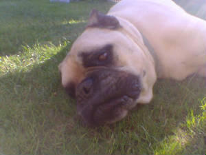 image003.jpg